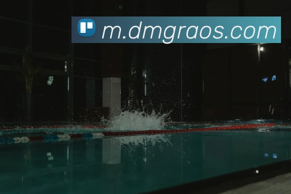 多媒体互动体验